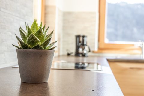 Immagine: Comfort e servizi